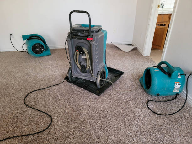 Best Water damage restoration near me  in El Cenizo, TX