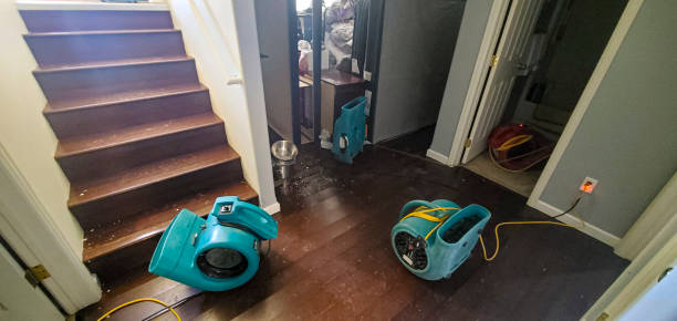 Best Water damage restoration company  in El Cenizo, TX