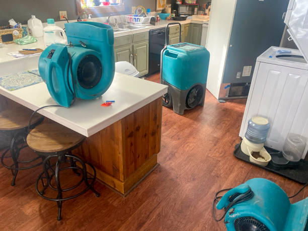 Best Ceiling water damage repair  in El Cenizo, TX
