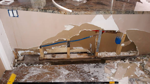 Best Water damage restoration experts  in El Cenizo, TX