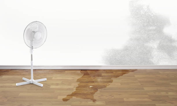 Best Emergency water damage restoration  in El Cenizo, TX