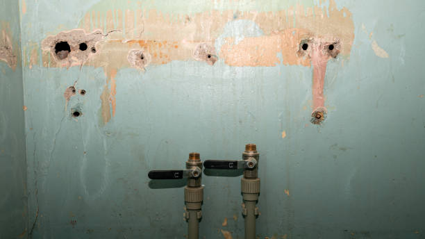 Best Local water damage restoration  in El Cenizo, TX