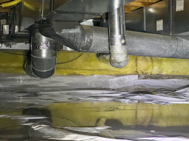 Best Carpet water damage restoration  in El Cenizo, TX