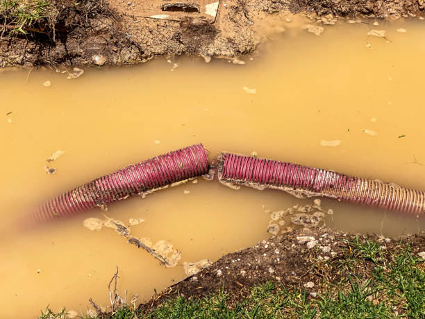 Best Water damage restoration insurance claims  in El Cenizo, TX