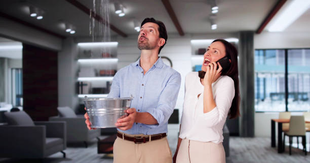 Best Water damage restoration near me  in El Cenizo, TX