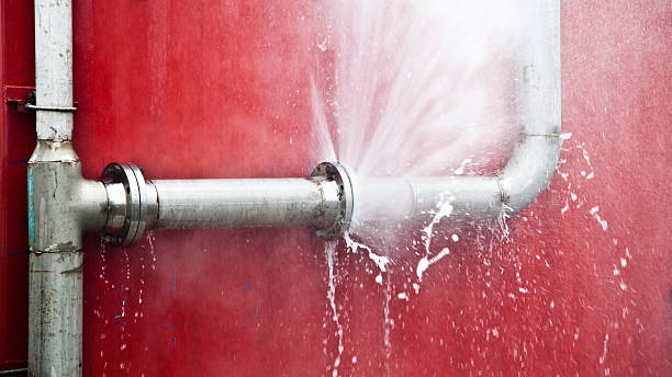Best Emergency water damage restoration  in El Cenizo, TX